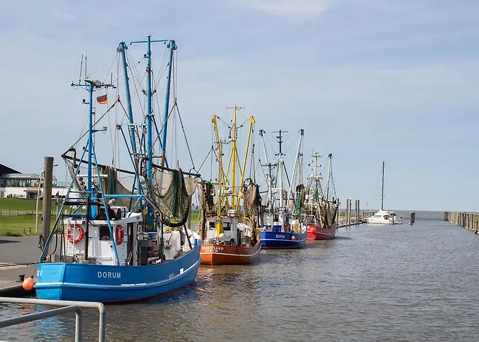 Medemsand 04 بيت للعطل دورم نيوفيلد