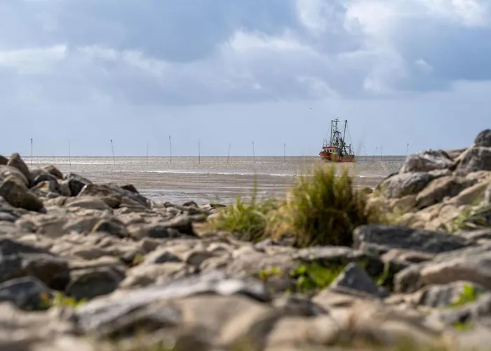 بيت للعطل Medemsand 04 دورم نيوفيلد